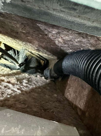 Roy's Ducts Care contact about air duct cleaning ca air duct cleaning in san diego dryer vent cleaning ca dryer vent cleaning in san diego